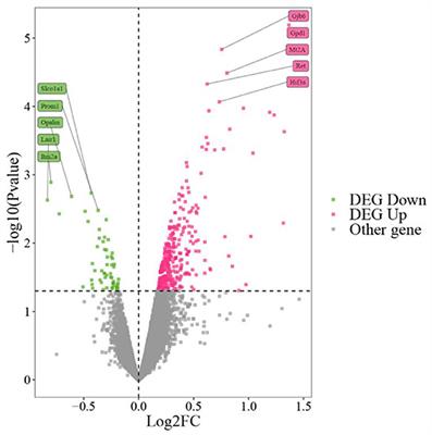 Hippocampal gene expression patterns in Sevoflurane anesthesia associated neurocognitive disorders: A bioinformatic analysis
